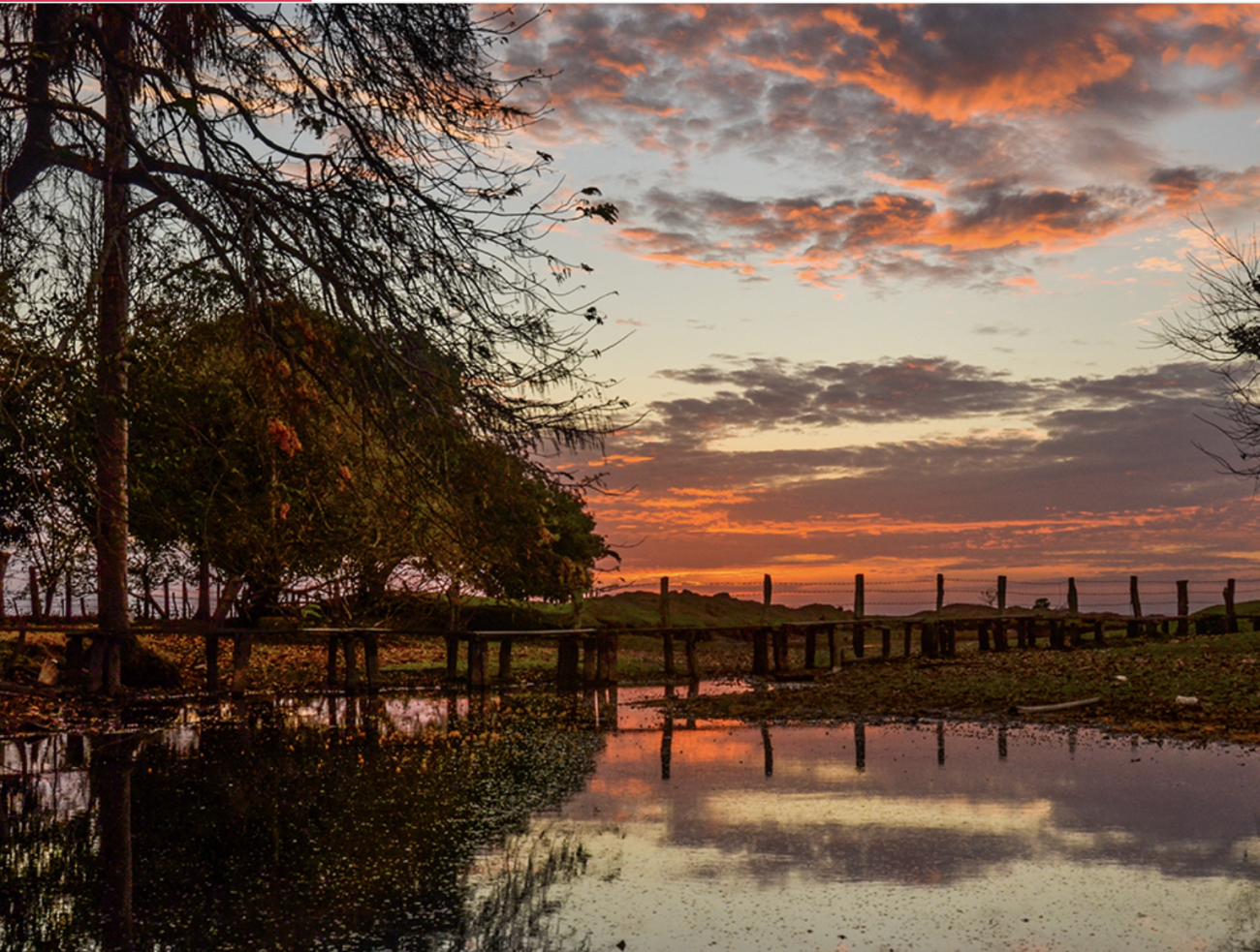 Pueblos más lindos de la Orinoquia colombiana: un recorrido por su belleza llanera